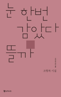 눈 한번 감았다 뜰까 (시인수첩 시인선 21)